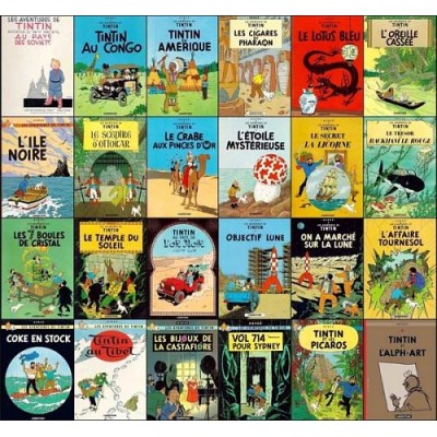 Les 24  Albums Tintin